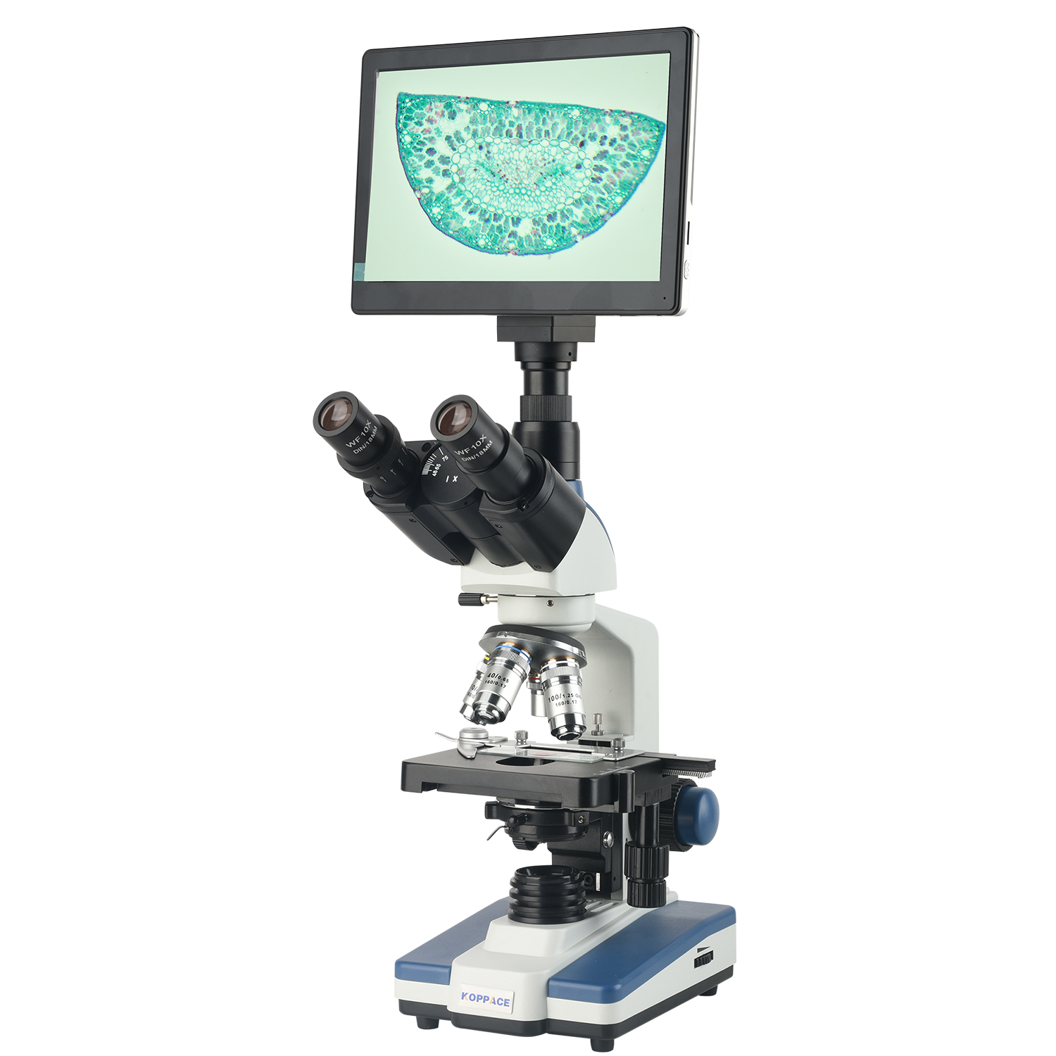 Microscope Compound 40X - KOPPACE 40X-2500X Electron Compound Lab Microscope