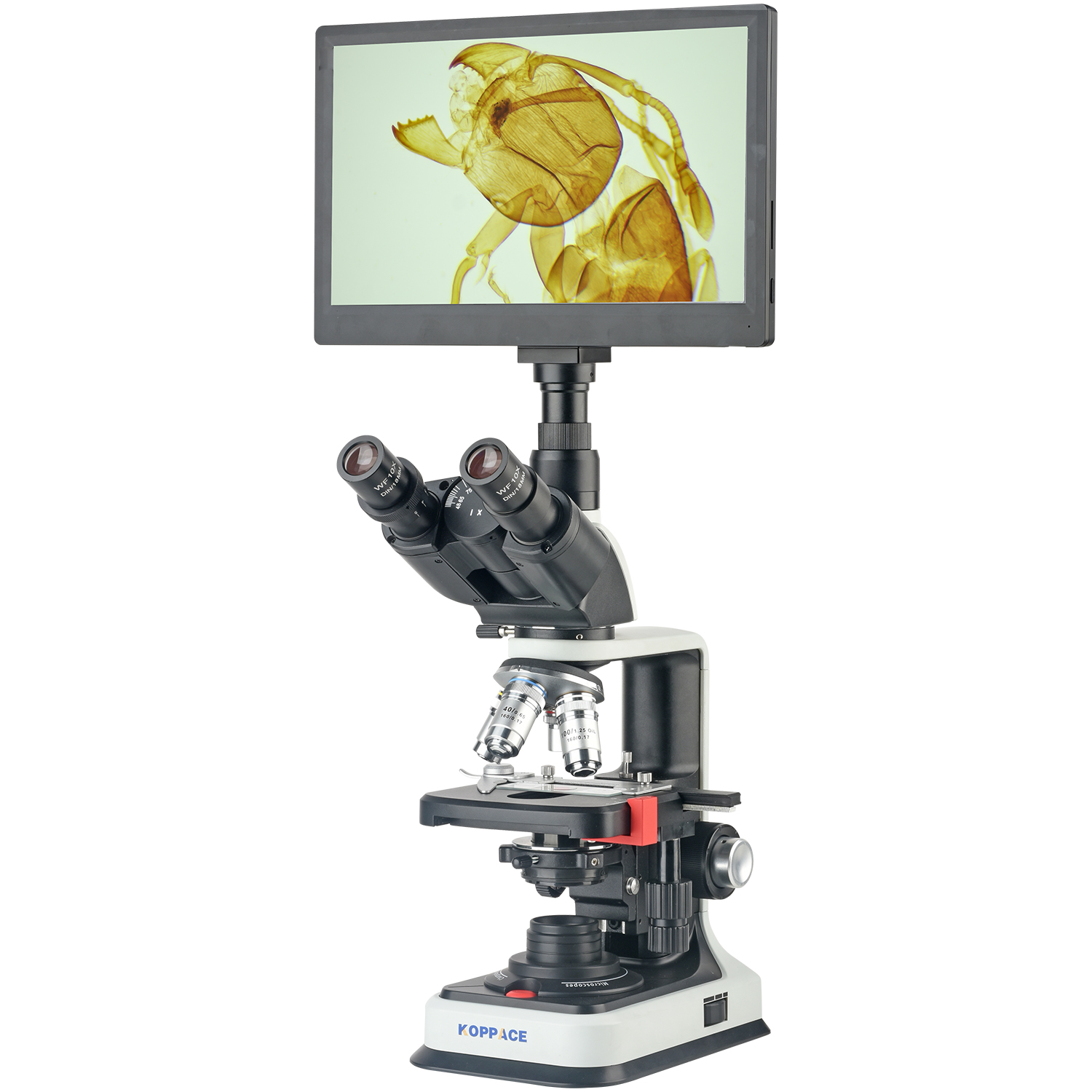 Microscope Compound 40X - KOPPACE 40X-2500X Electron Compound Lab Microscope