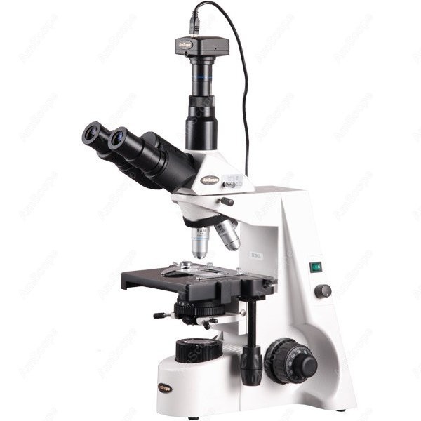 Microscope Compound 40X - AmScope 40X-2500X Infinity Kohler Biological Compound