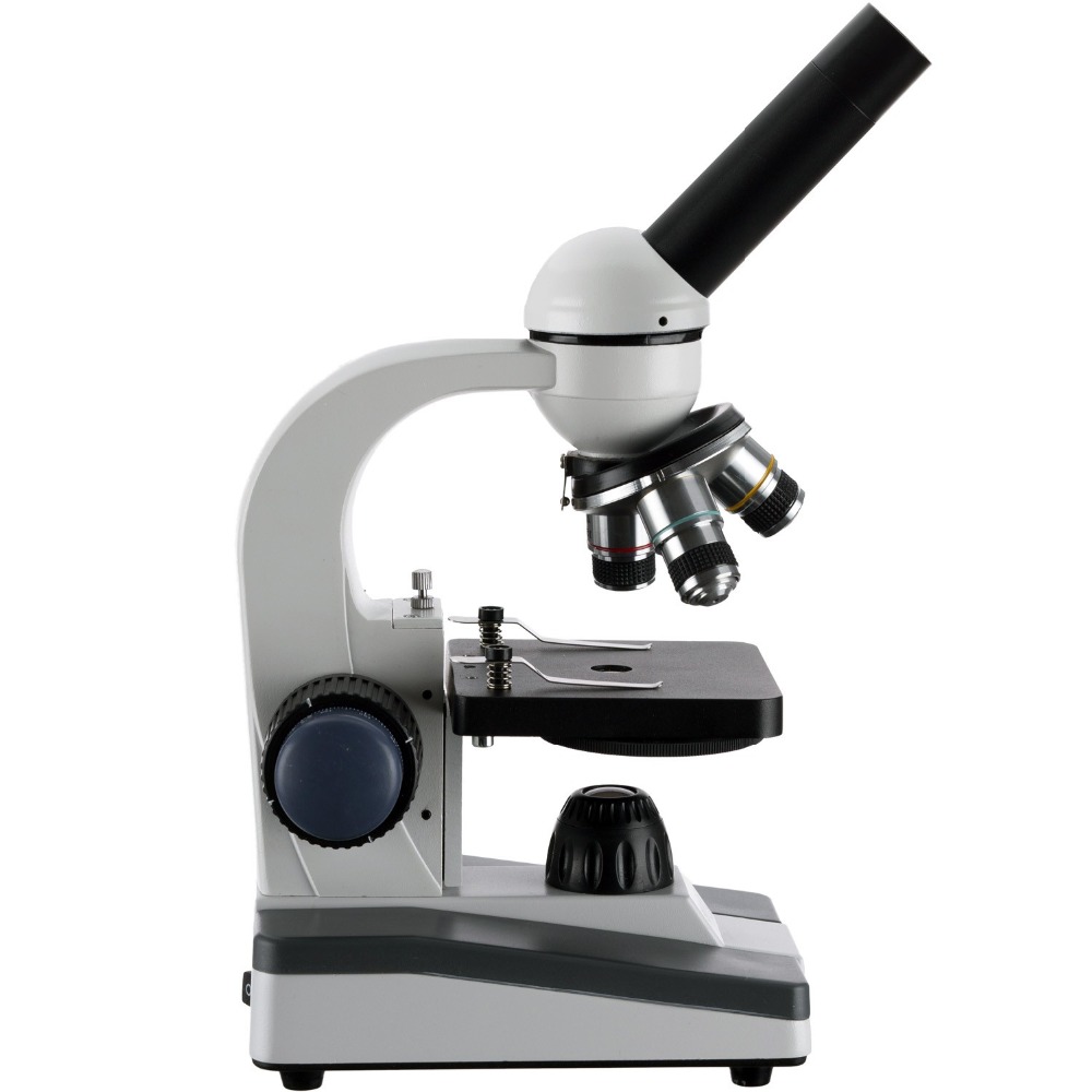 AmScope M150 Series Portable L - đánh giá và giá Microscope Compound 40X