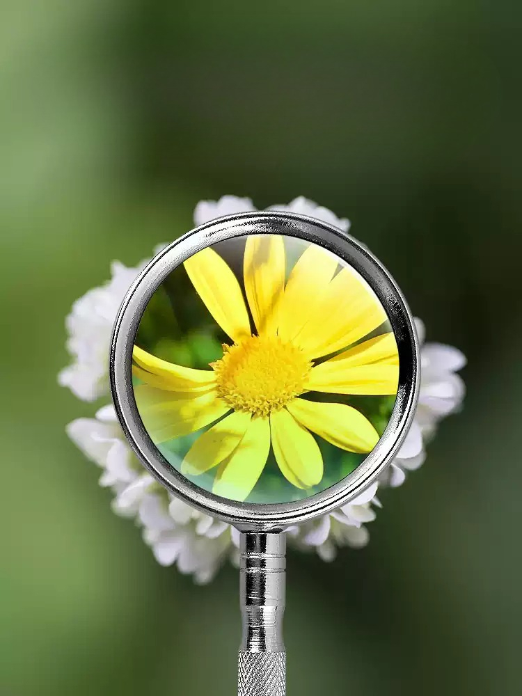 10X 20X Handheld Magnifying Gl - đánh giá và giá Hobby Is Science