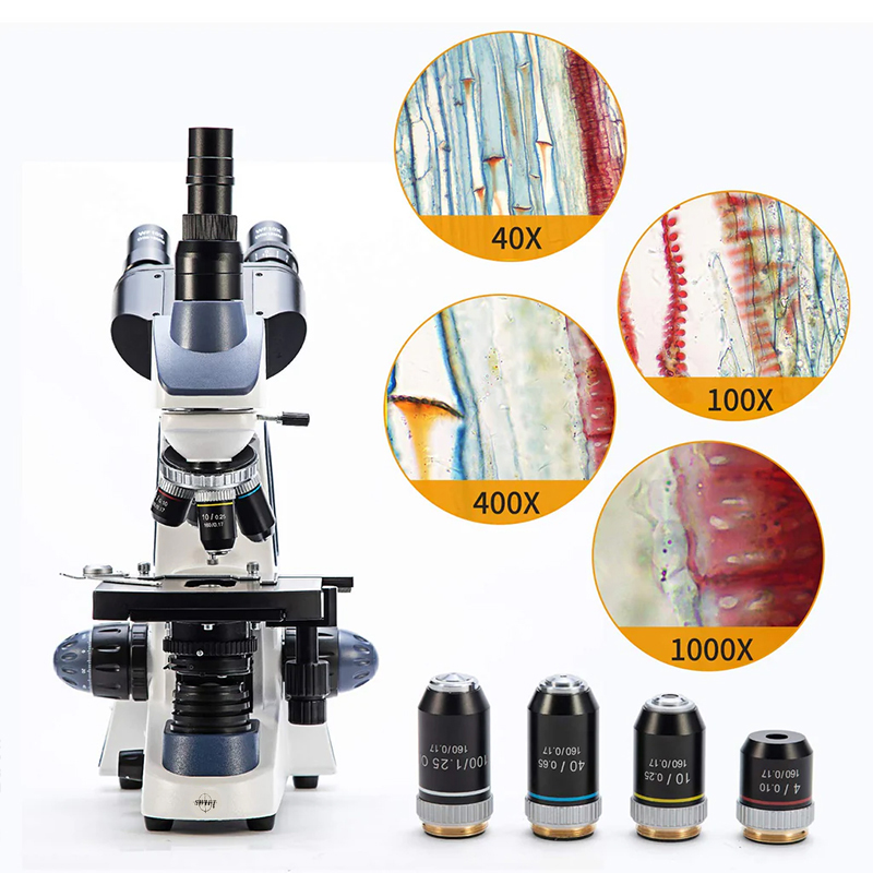 SWIFT SW380T Compound Trinocul - đánh giá và giá Microscope Compound 40X