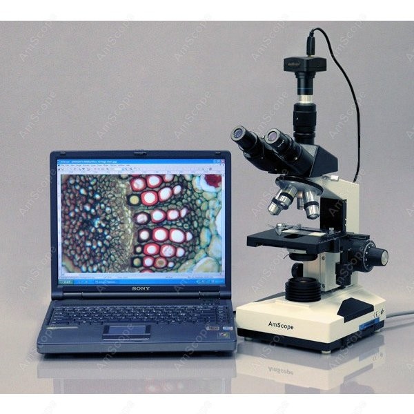 AmScope T490 Series Simul-Foca - đánh giá và giá Microscope Compound 40X