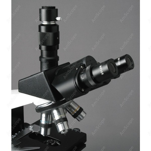 AmScope T490 Series Simul-Foca - đánh giá và giá Microscope Compound 40X
