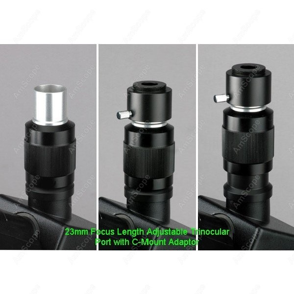 AmScope T490 Series Simul-Foca - đánh giá và giá Microscope Compound 40X