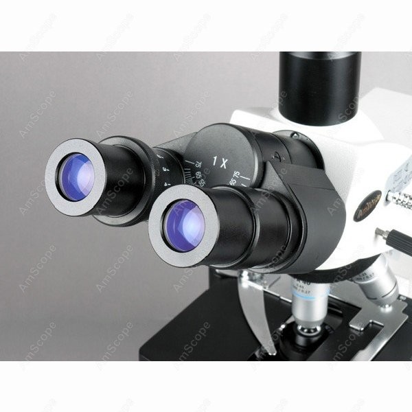 AmScope 40X-2500X Infinity Koh - đánh giá và giá Microscope Compound 40X